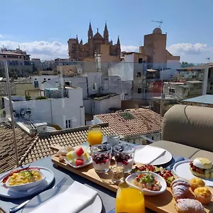 Puro Oasis Urbano Hotel Palma